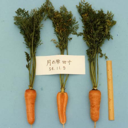 品種登録迅速化総合電子化システム