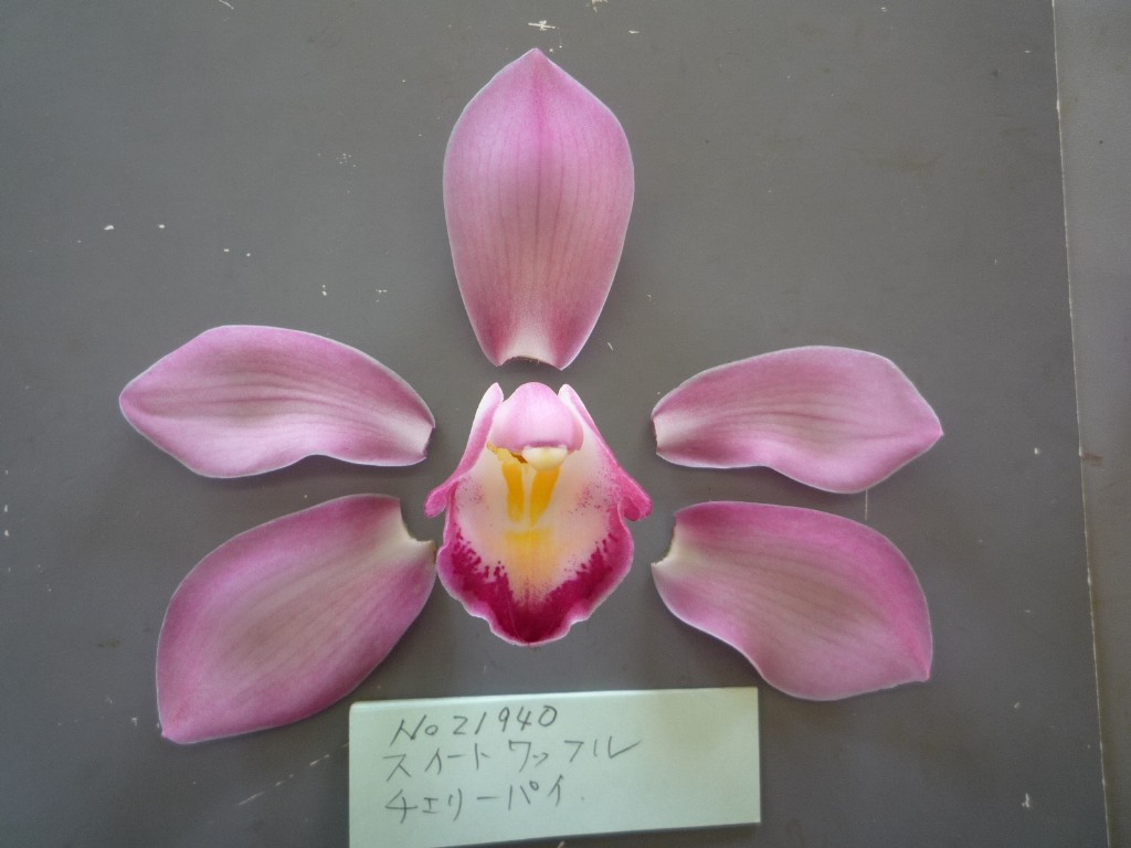 品種登録迅速化総合電子化システム