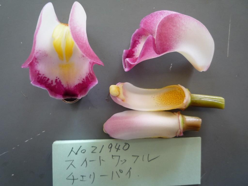 品種登録迅速化総合電子化システム