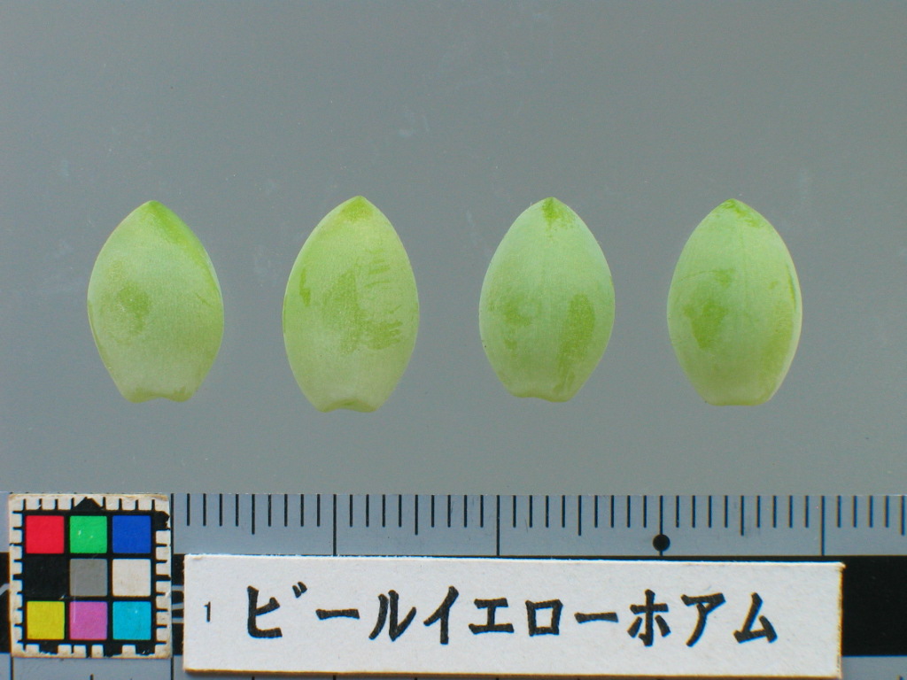 品種登録迅速化総合電子化システム