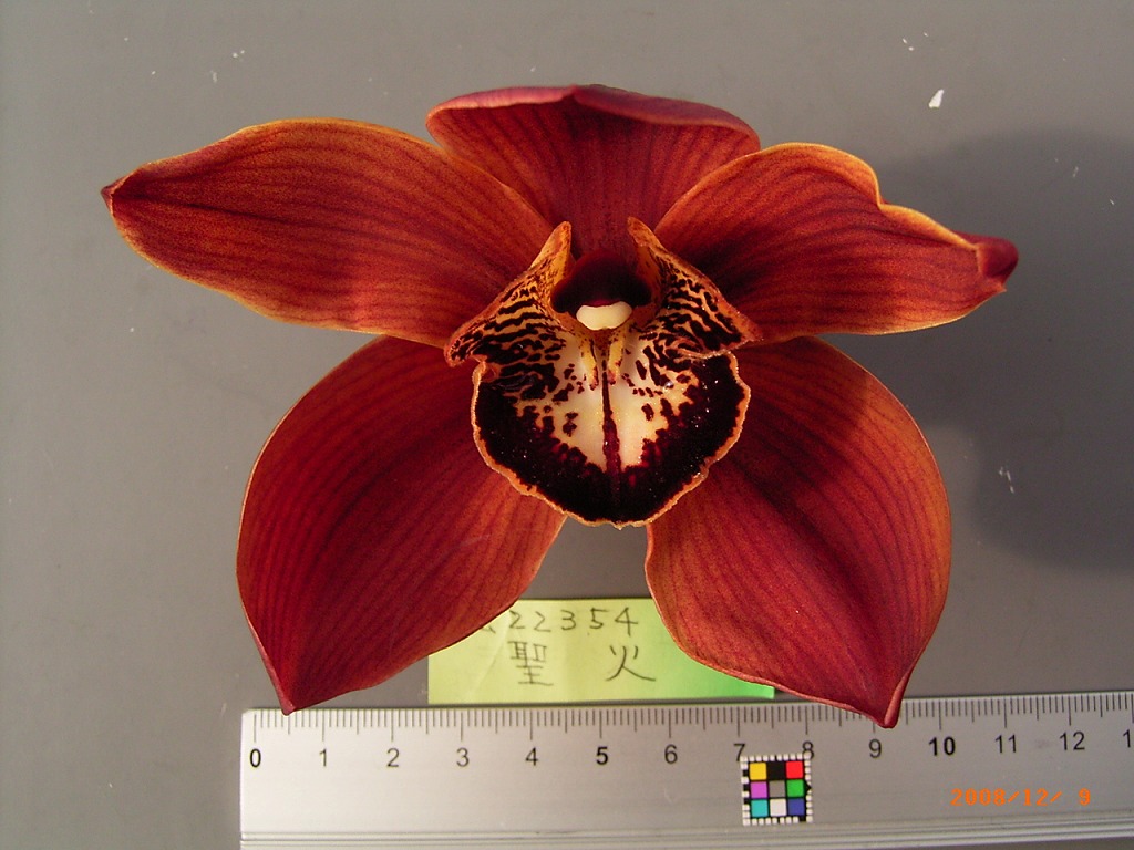 品種登録迅速化総合電子化システム