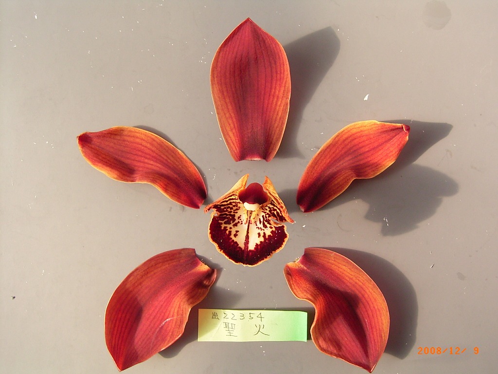 品種登録迅速化総合電子化システム