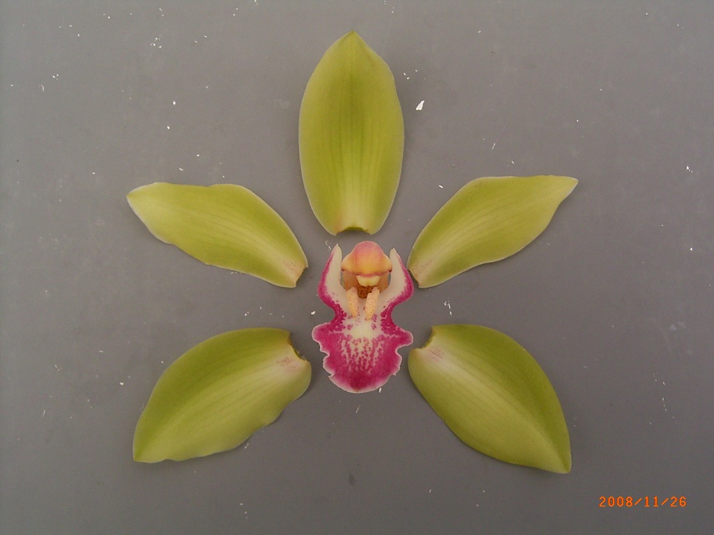 品種登録迅速化総合電子化システム