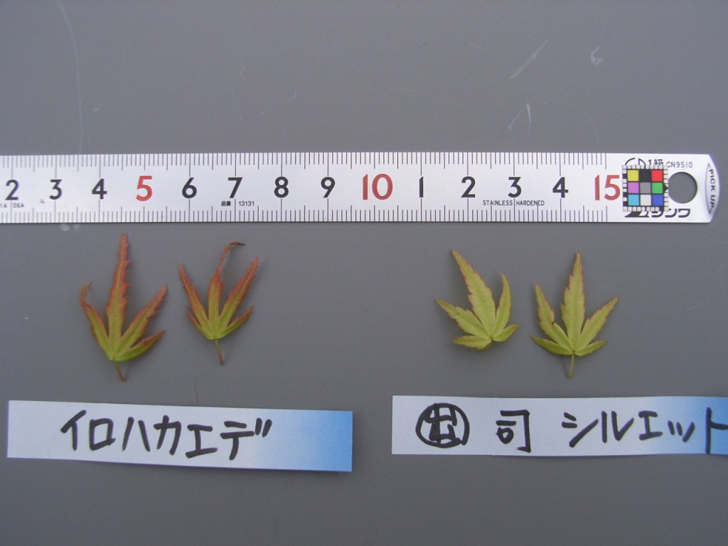 品種登録迅速化総合電子化システム