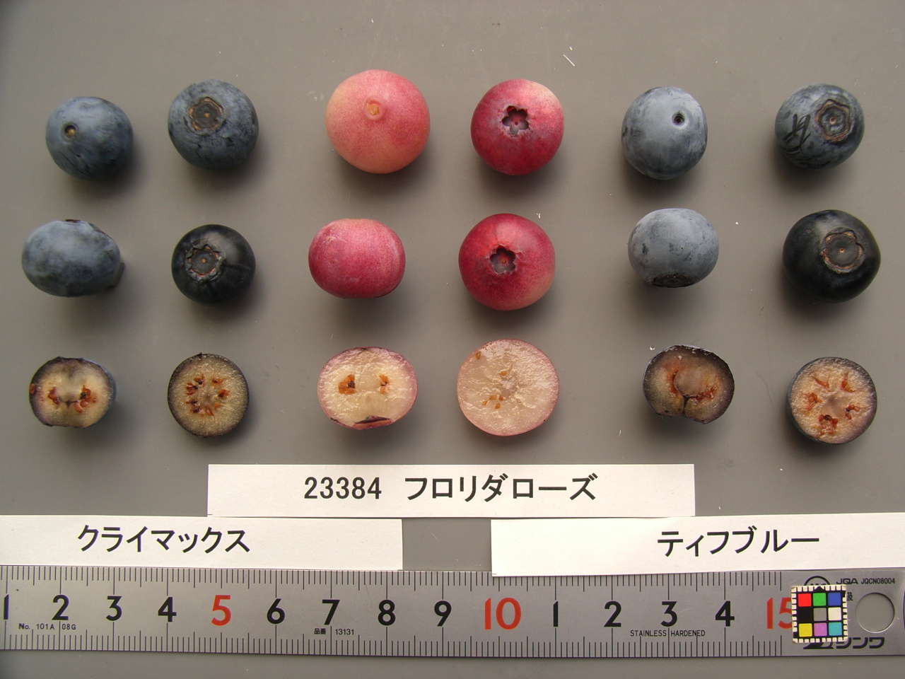 品種登録迅速化総合電子化システム