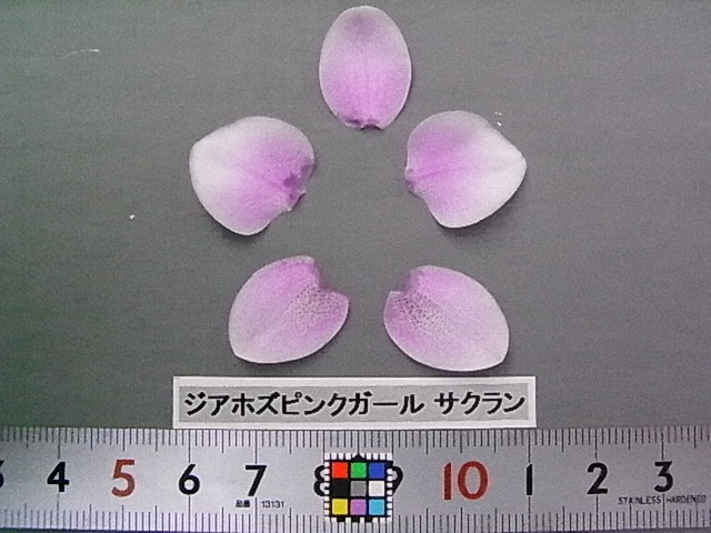 品種登録迅速化総合電子化システム