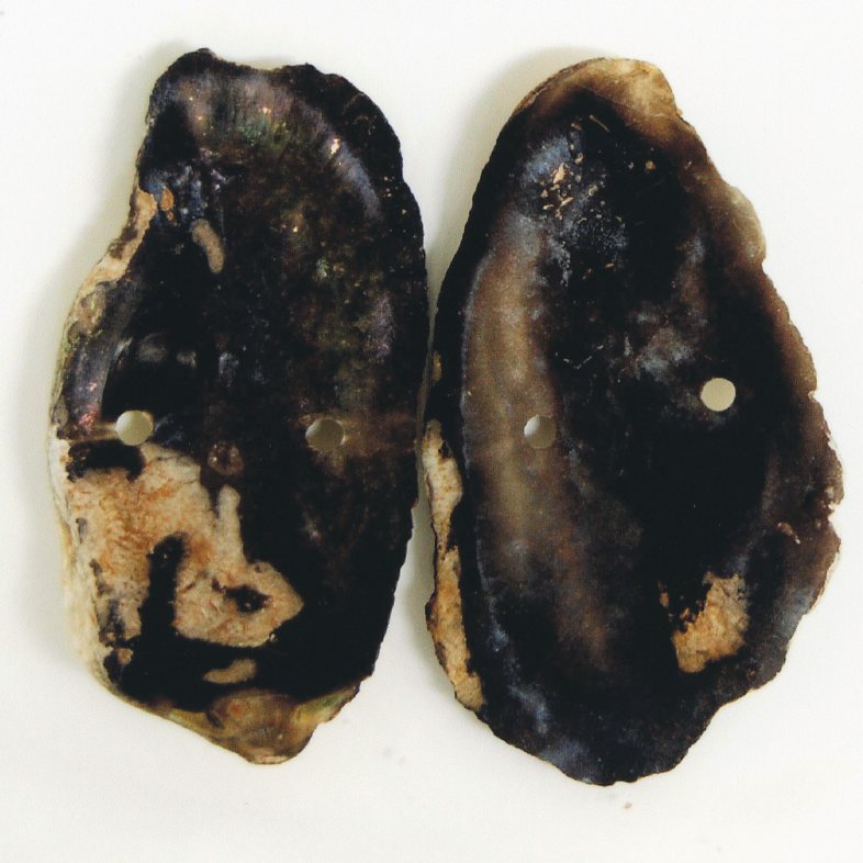 品種登録迅速化総合電子化システム