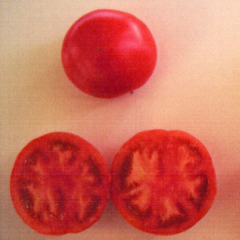 品種登録迅速化総合電子化システム