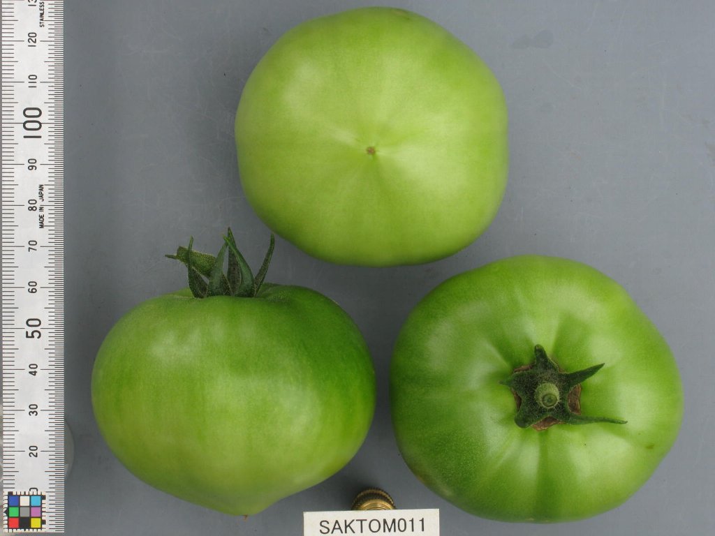 品種登録迅速化総合電子化システム