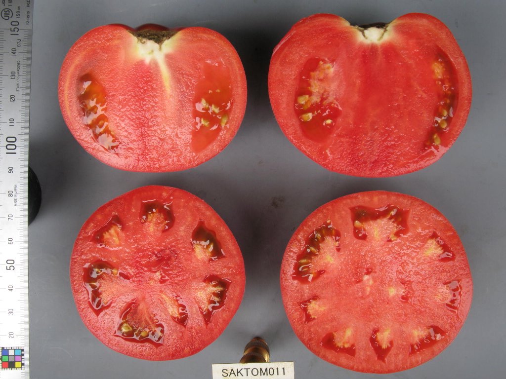 品種登録迅速化総合電子化システム