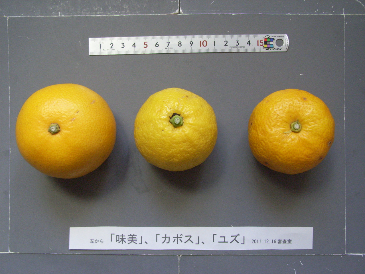 品種登録迅速化総合電子化システム