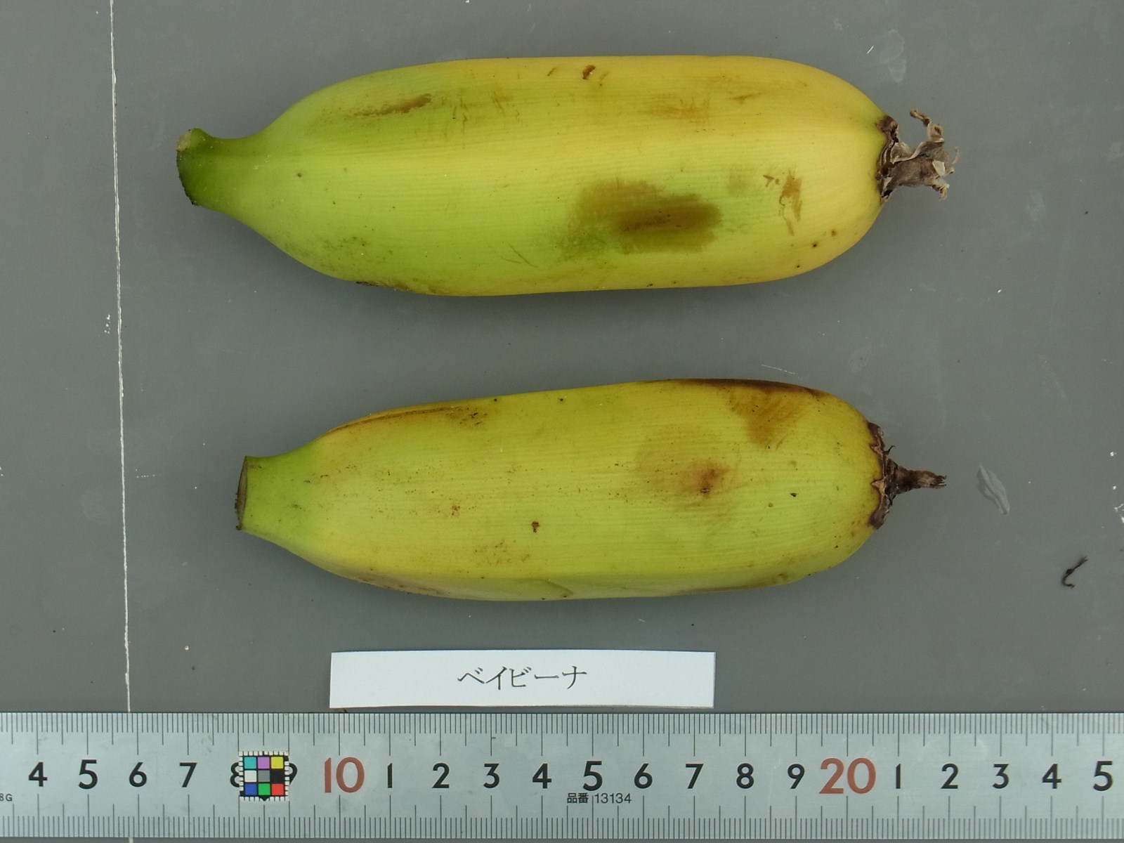 品種登録迅速化総合電子化システム