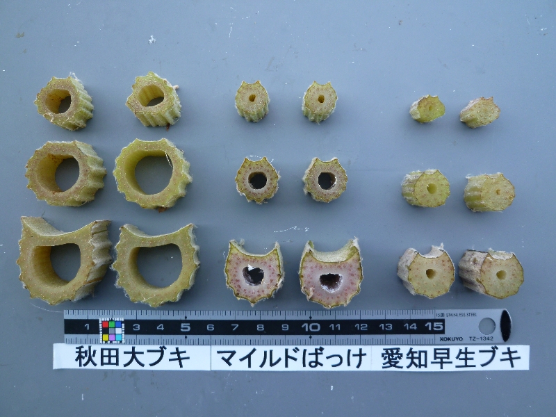 品種登録迅速化総合電子化システム