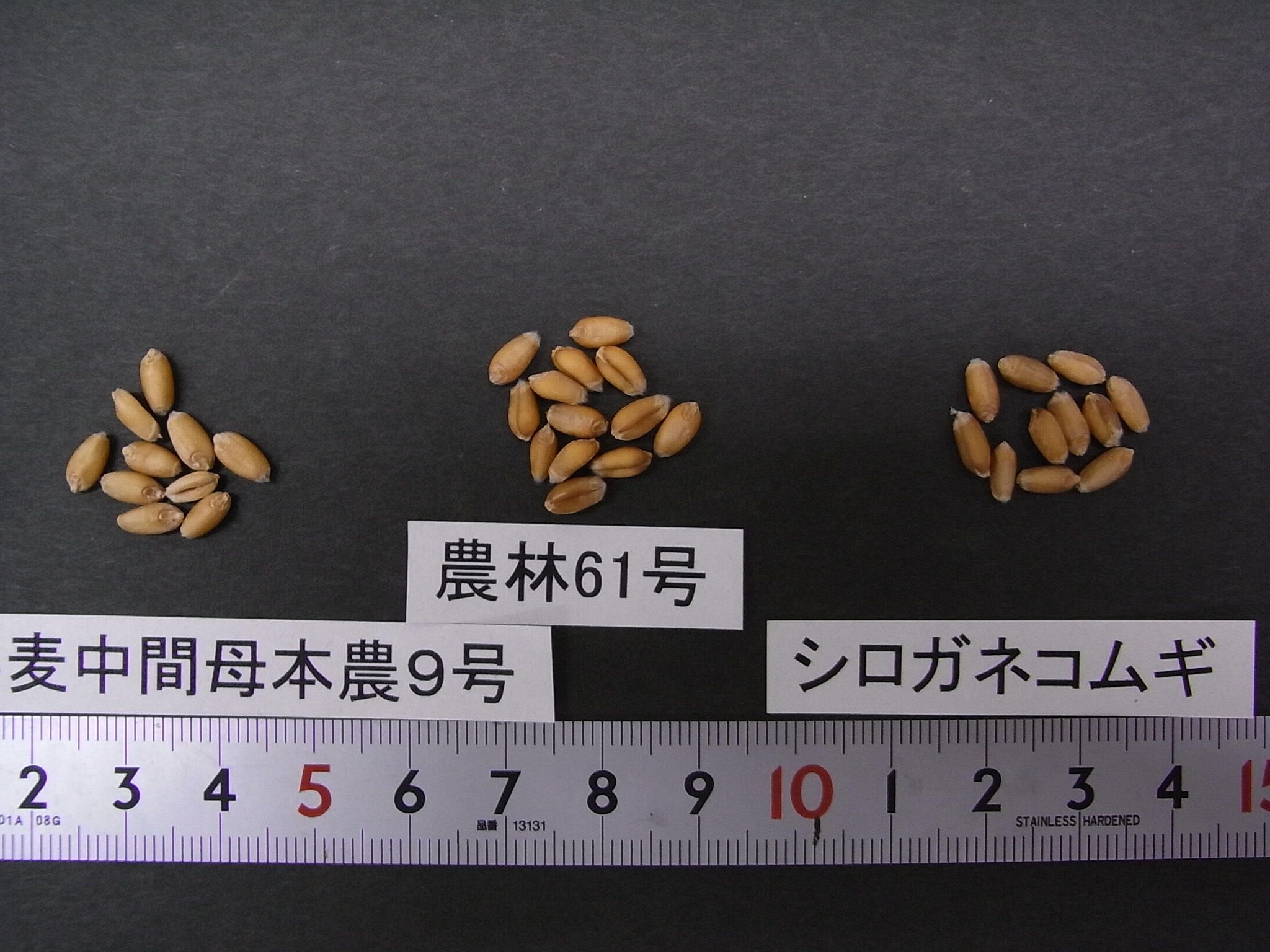 品種登録迅速化総合電子化システム