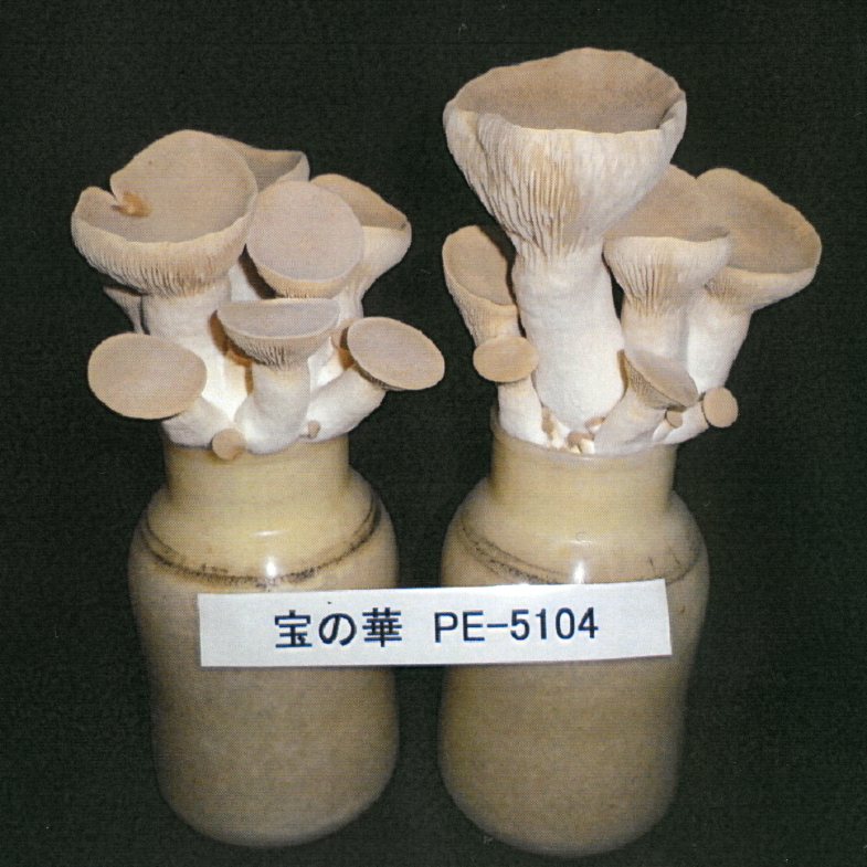 品種登録迅速化総合電子化システム