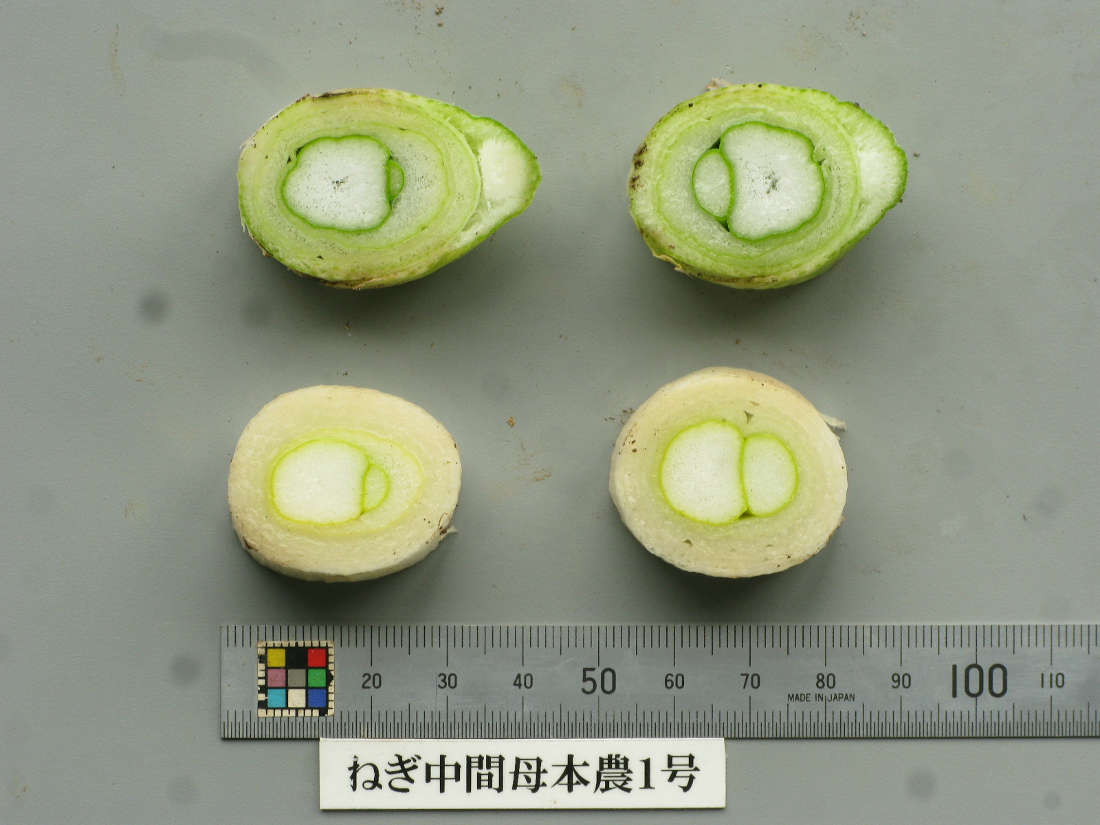 品種登録迅速化総合電子化システム
