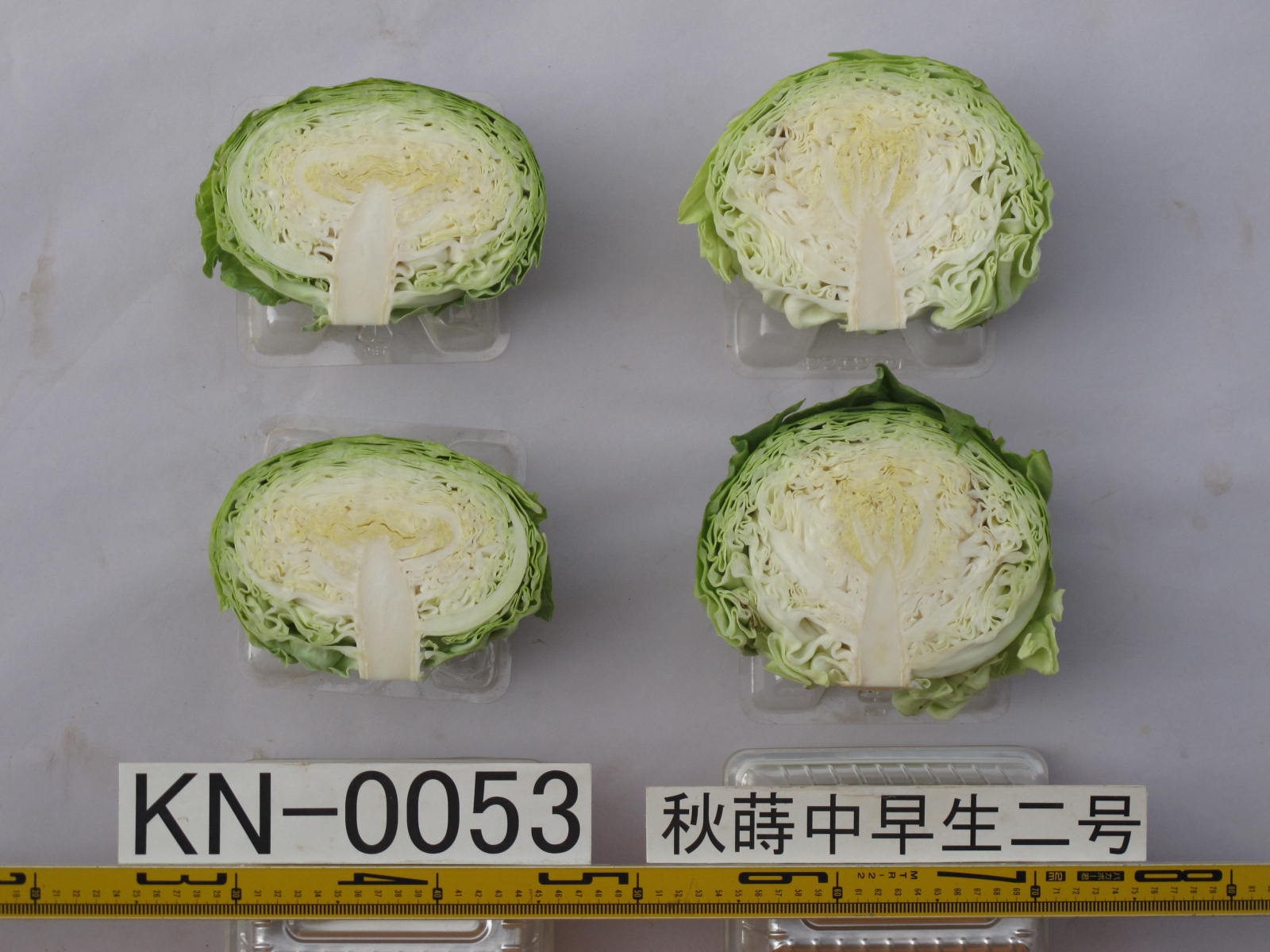 品種登録迅速化総合電子化システム