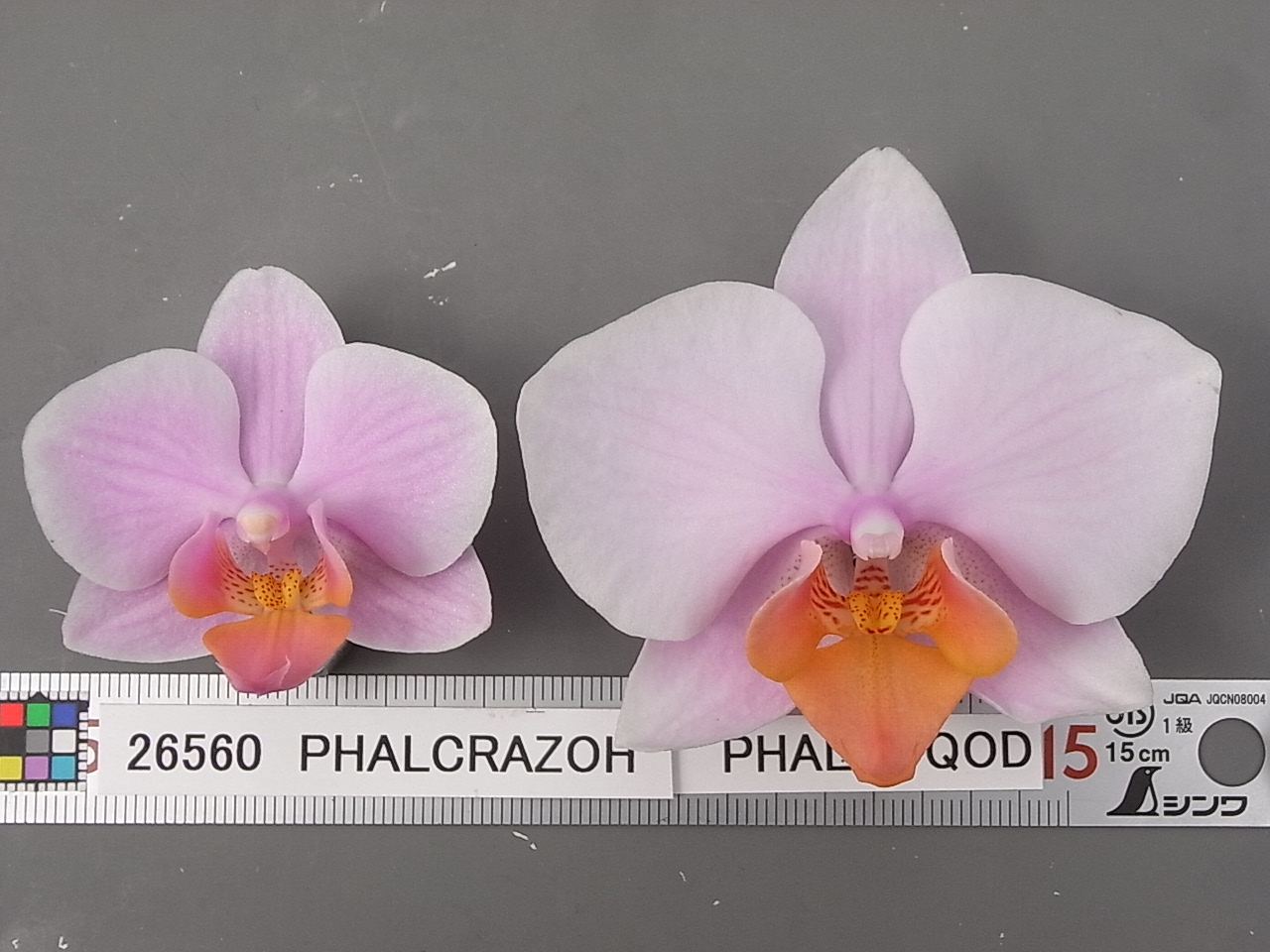 品種登録迅速化総合電子化システム