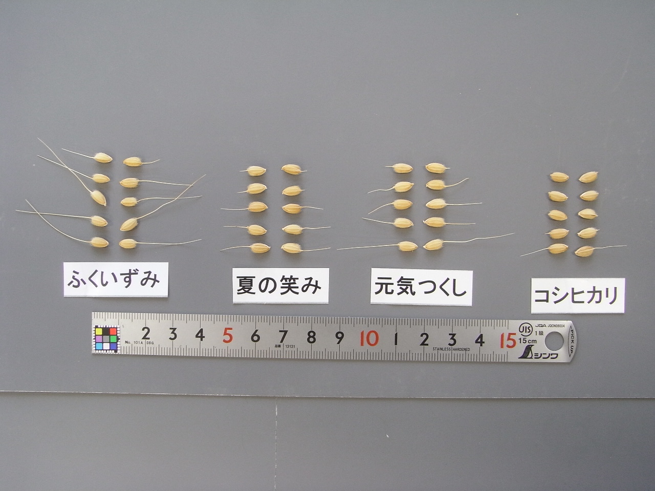 品種登録迅速化総合電子化システム