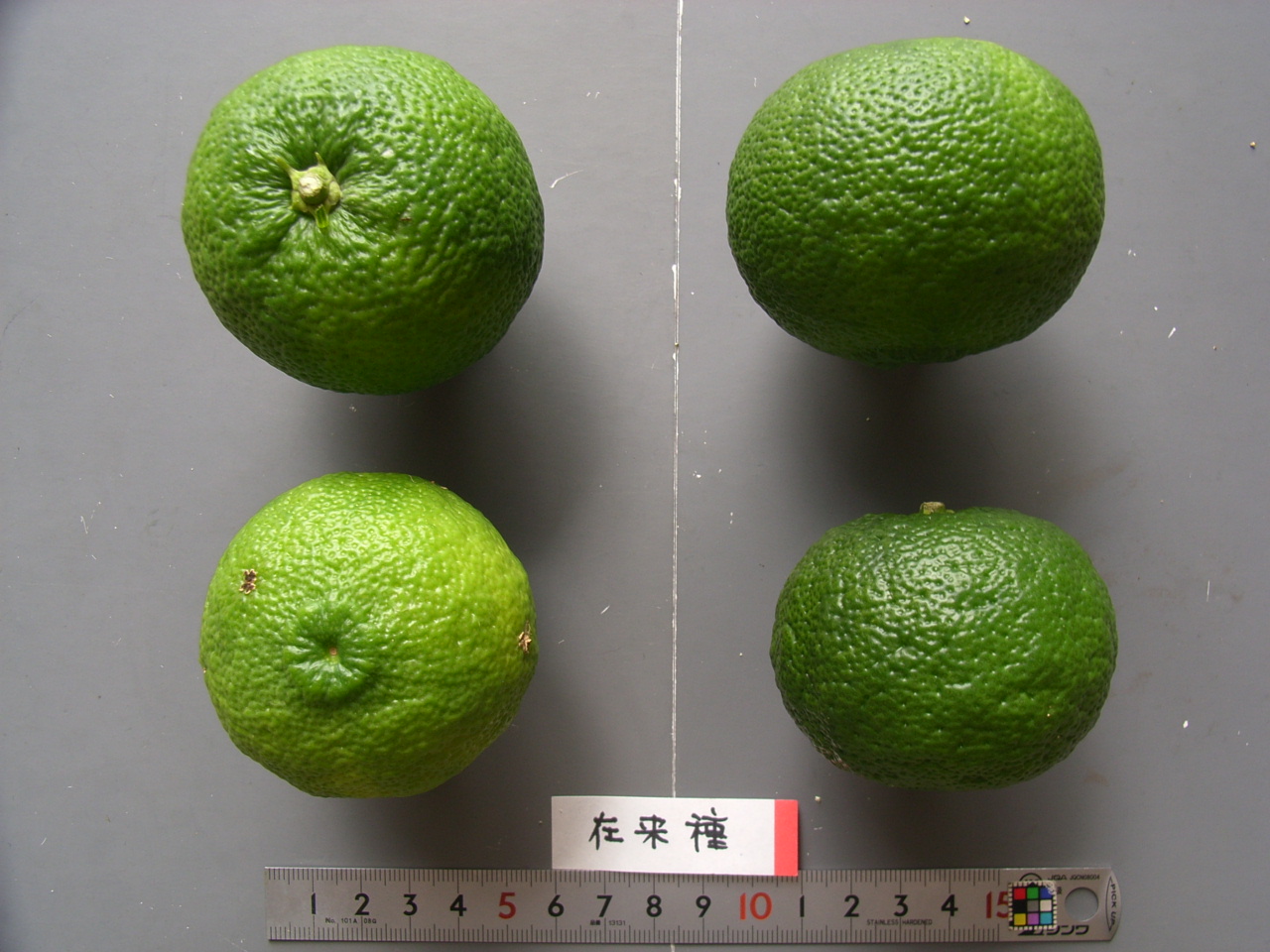 品種登録迅速化総合電子化システム