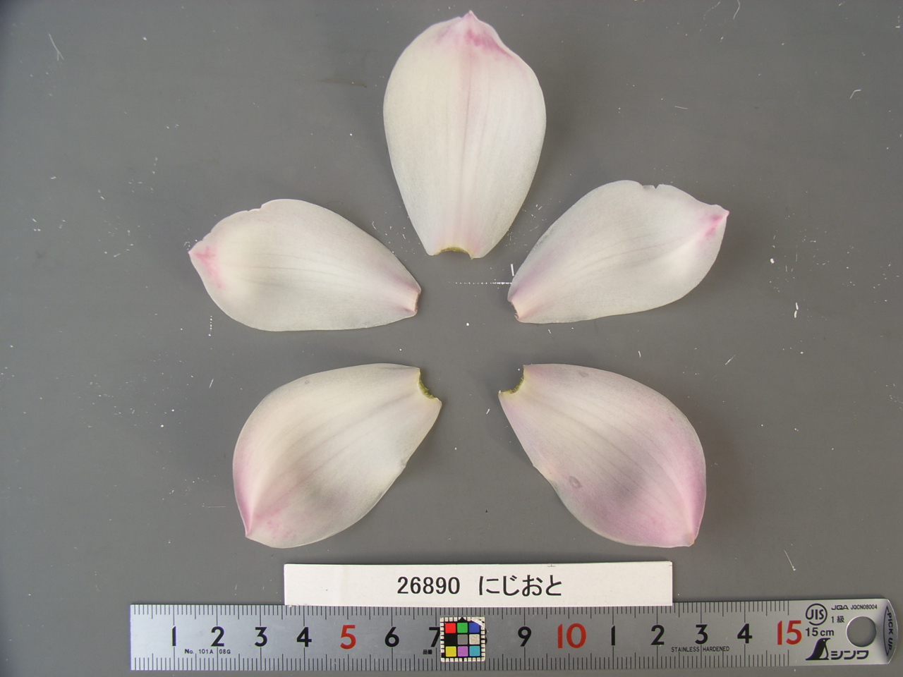 品種登録迅速化総合電子化システム