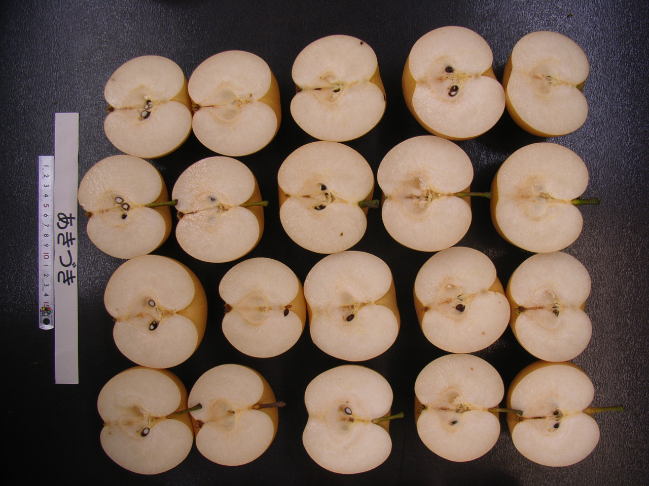 品種登録迅速化総合電子化システム