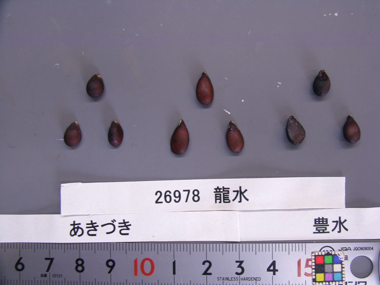 品種登録迅速化総合電子化システム