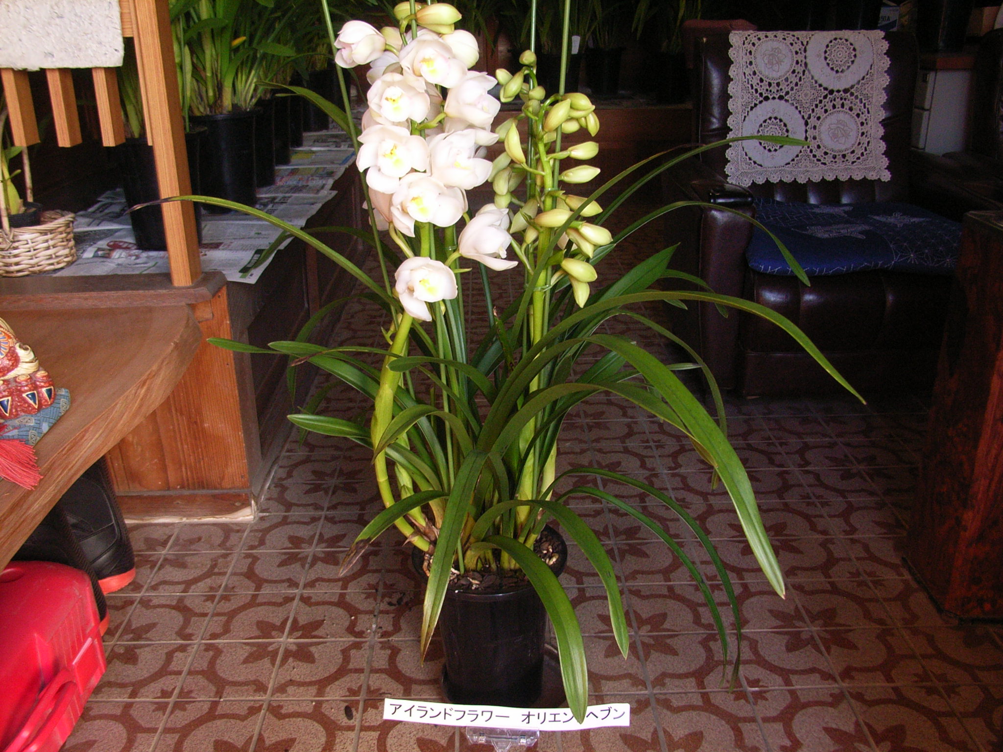 品種登録迅速化総合電子化システム