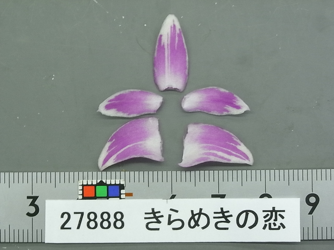 品種登録迅速化総合電子化システム