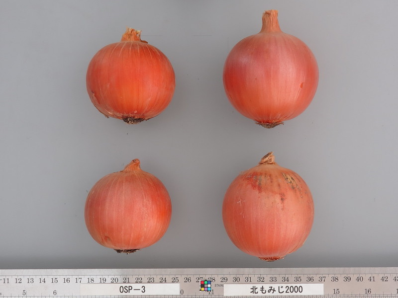 96527180_5