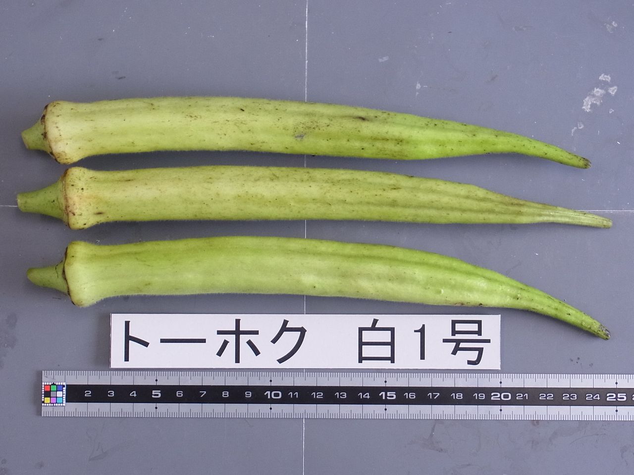 品種登録迅速化総合電子化システム