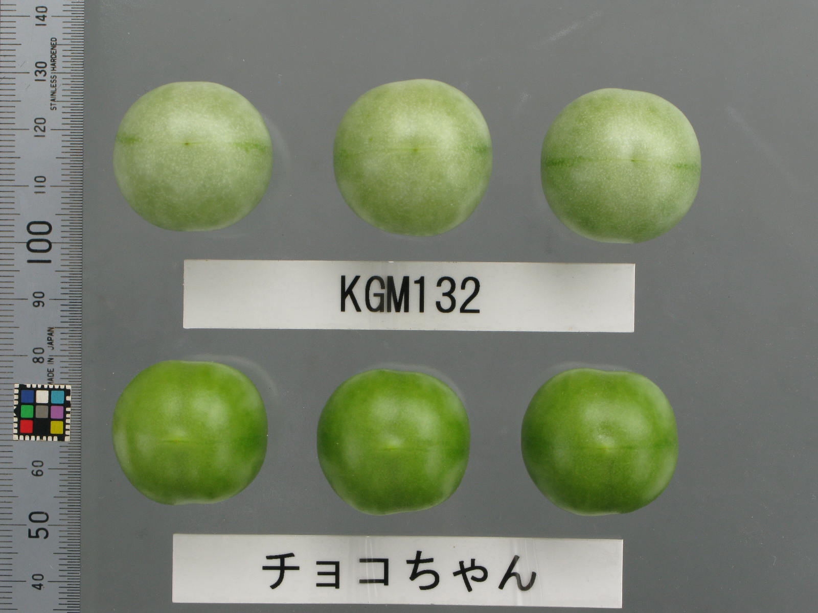 品種登録迅速化総合電子化システム