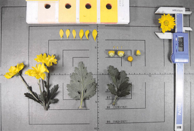 品種登録迅速化総合電子化システム