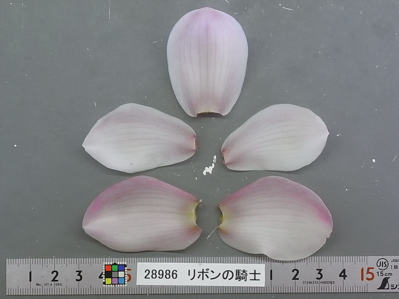 品種登録迅速化総合電子化システム