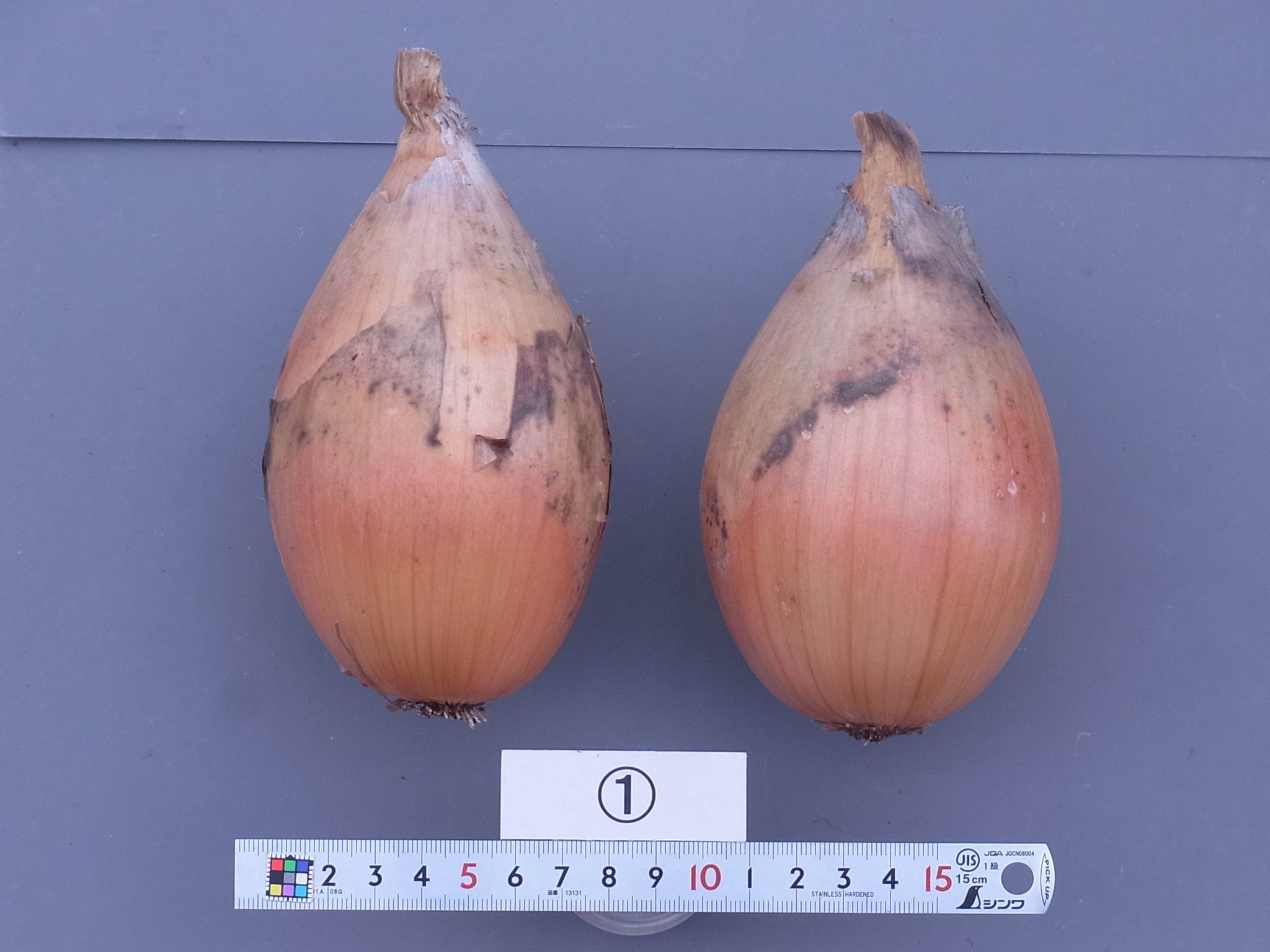 品種登録迅速化総合電子化システム