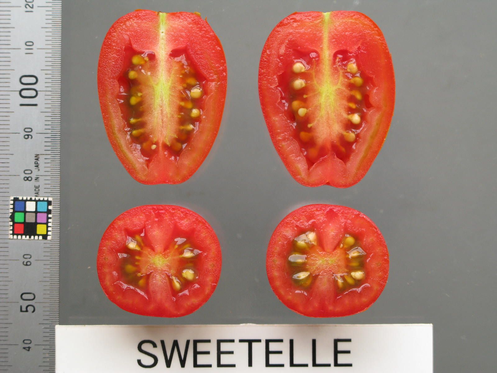 品種登録迅速化総合電子化システム