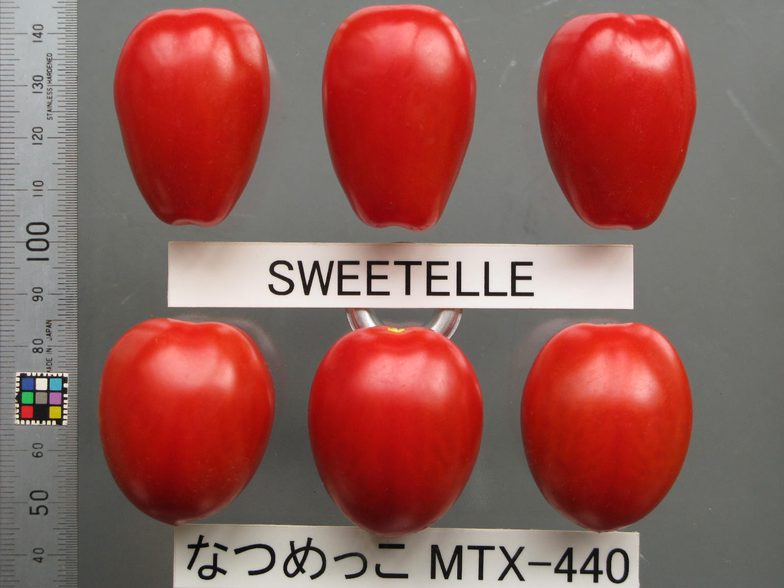 品種登録迅速化総合電子化システム