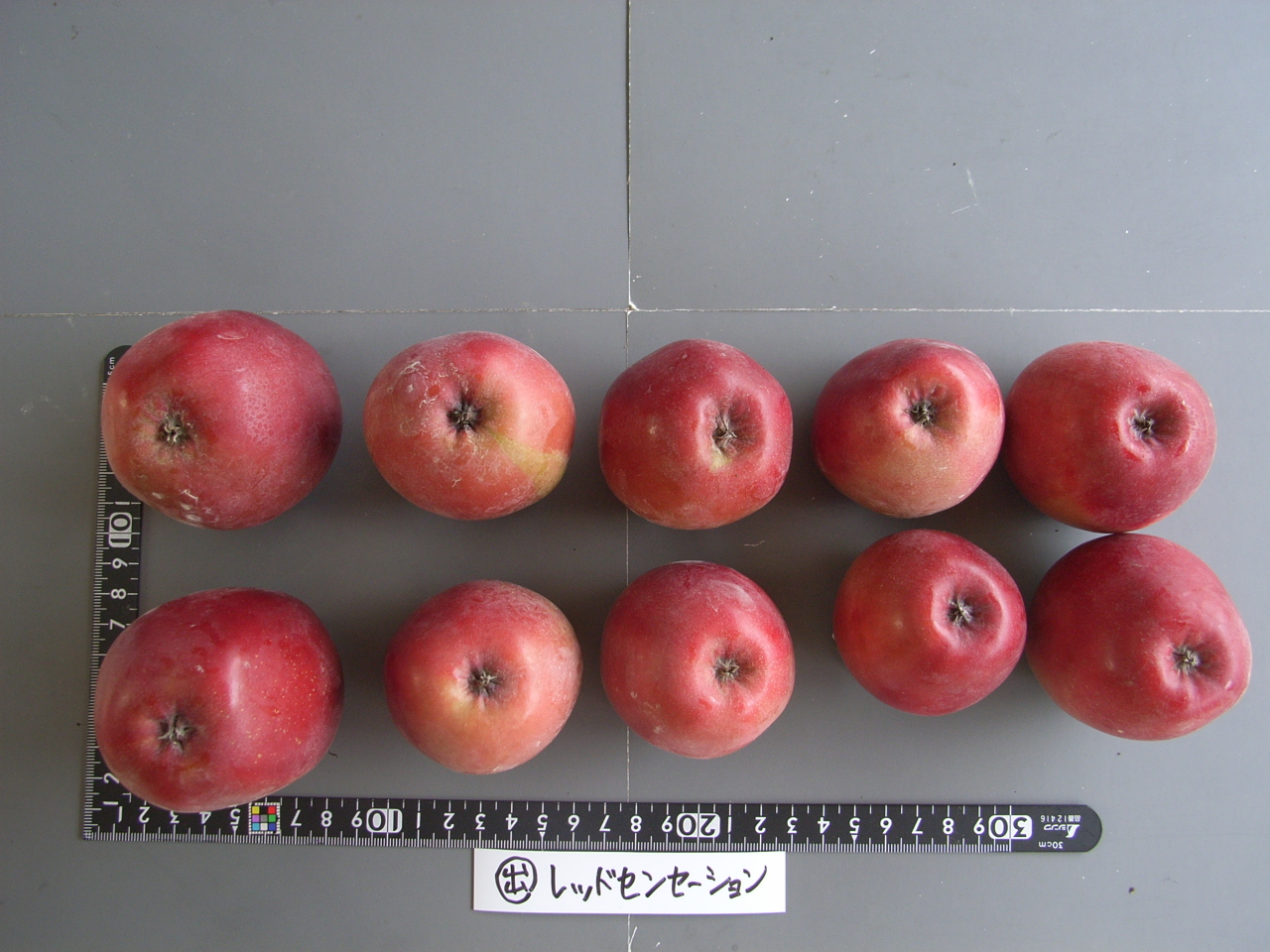 品種登録迅速化総合電子化システム