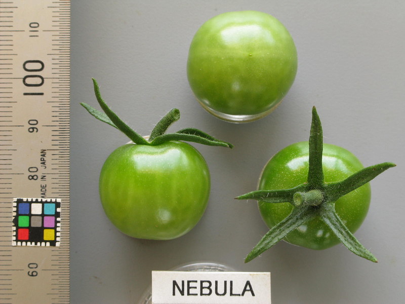 品種登録迅速化総合電子化システム