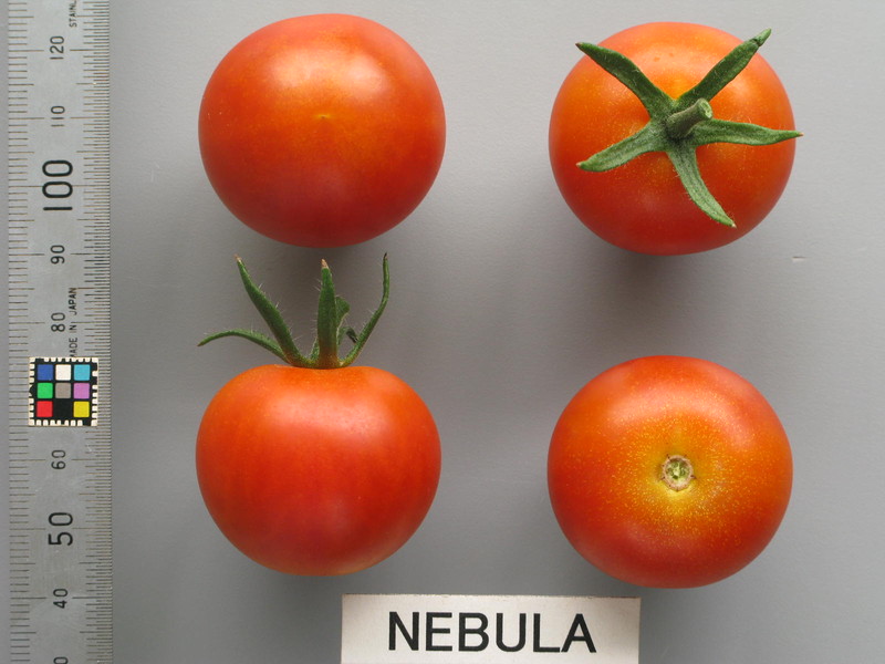 品種登録迅速化総合電子化システム