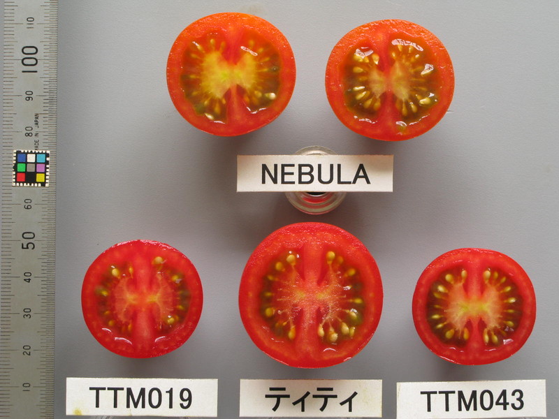 品種登録迅速化総合電子化システム