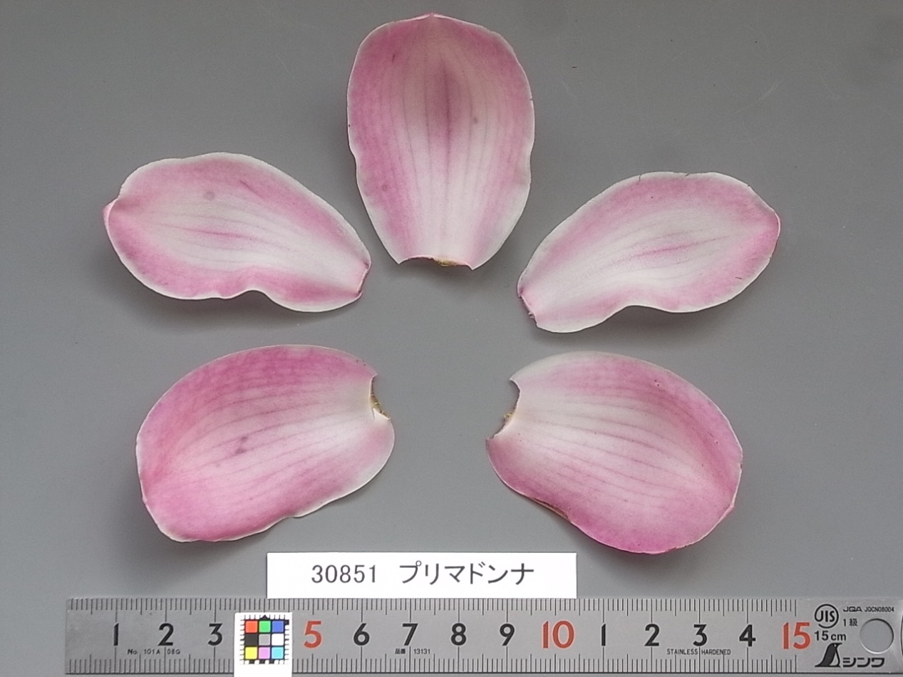 品種登録迅速化総合電子化システム