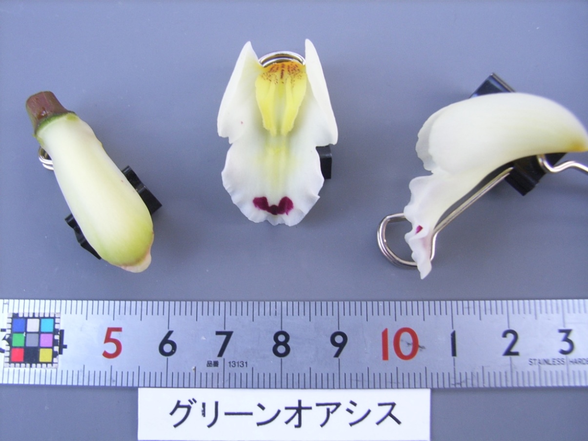 品種登録迅速化総合電子化システム