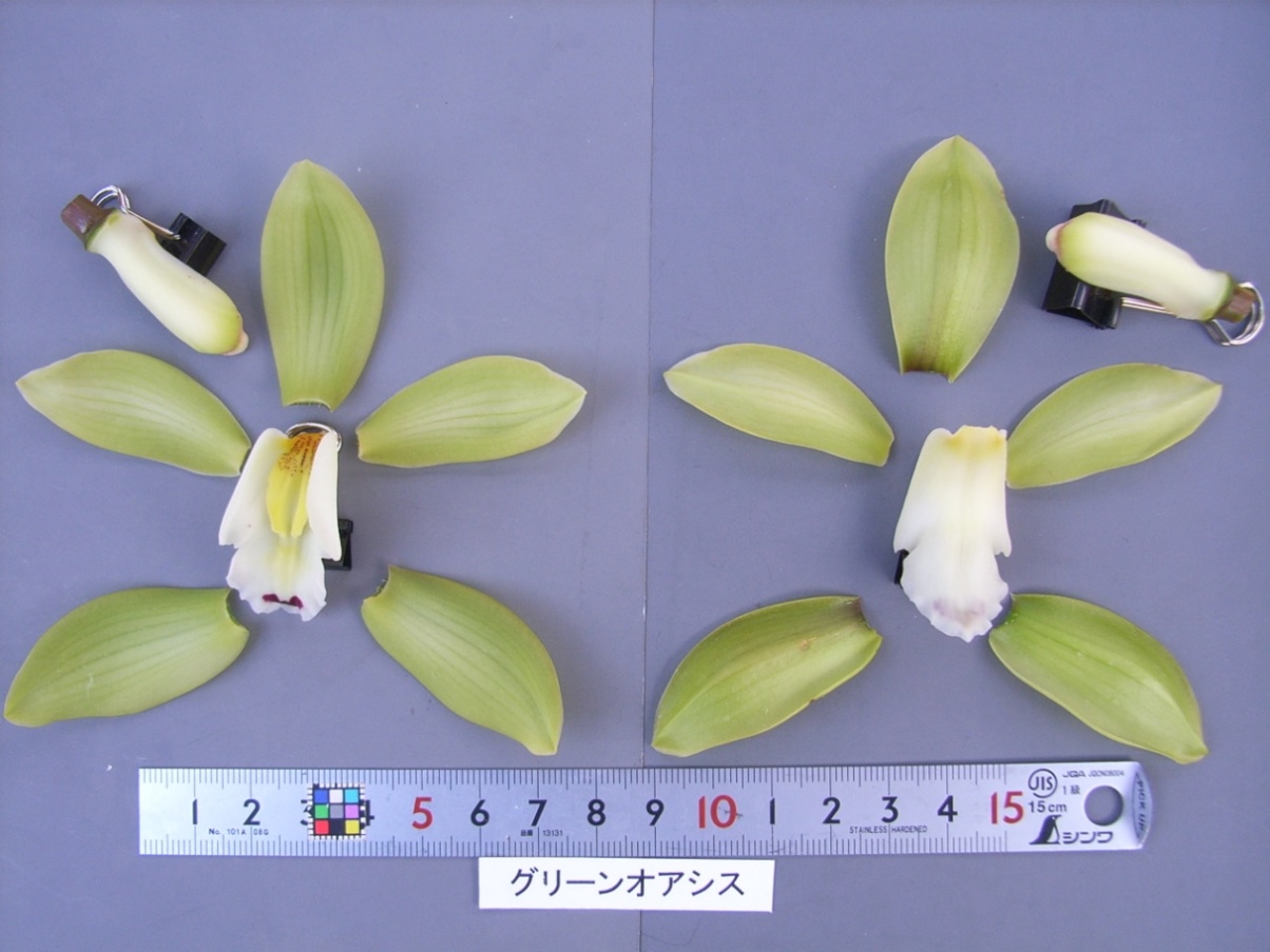 品種登録迅速化総合電子化システム