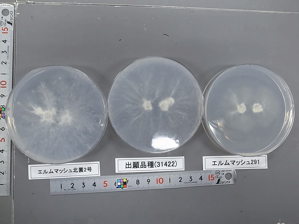 品種登録迅速化総合電子化システム
