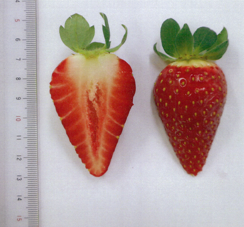 品種登録迅速化総合電子化システム