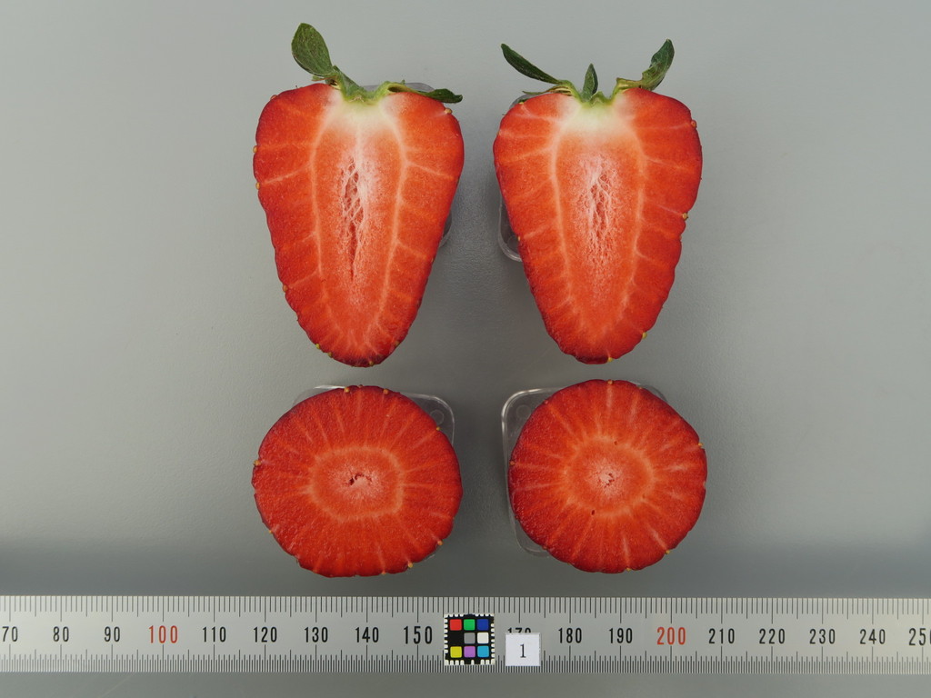 品種登録迅速化総合電子化システム