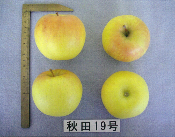 品種登録迅速化総合電子化システム