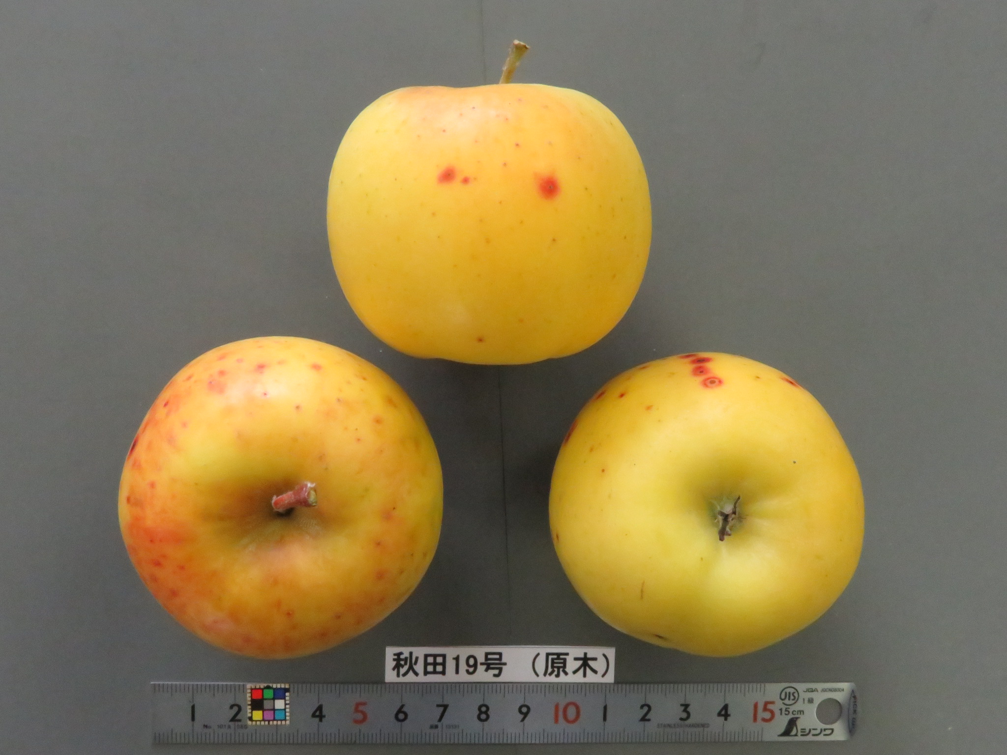 品種登録迅速化総合電子化システム