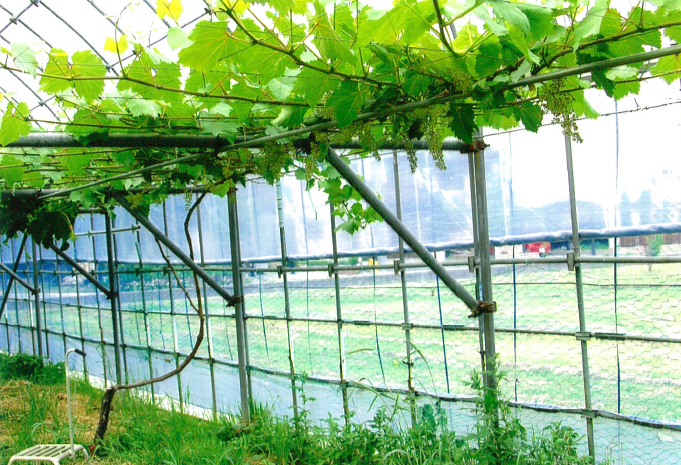 品種登録迅速化総合電子化システム